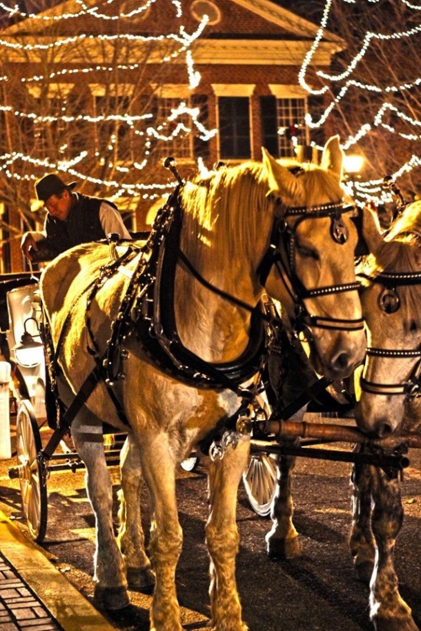 6 Things to do in Dahlonega This Holiday Season Consolidated Gold Mine